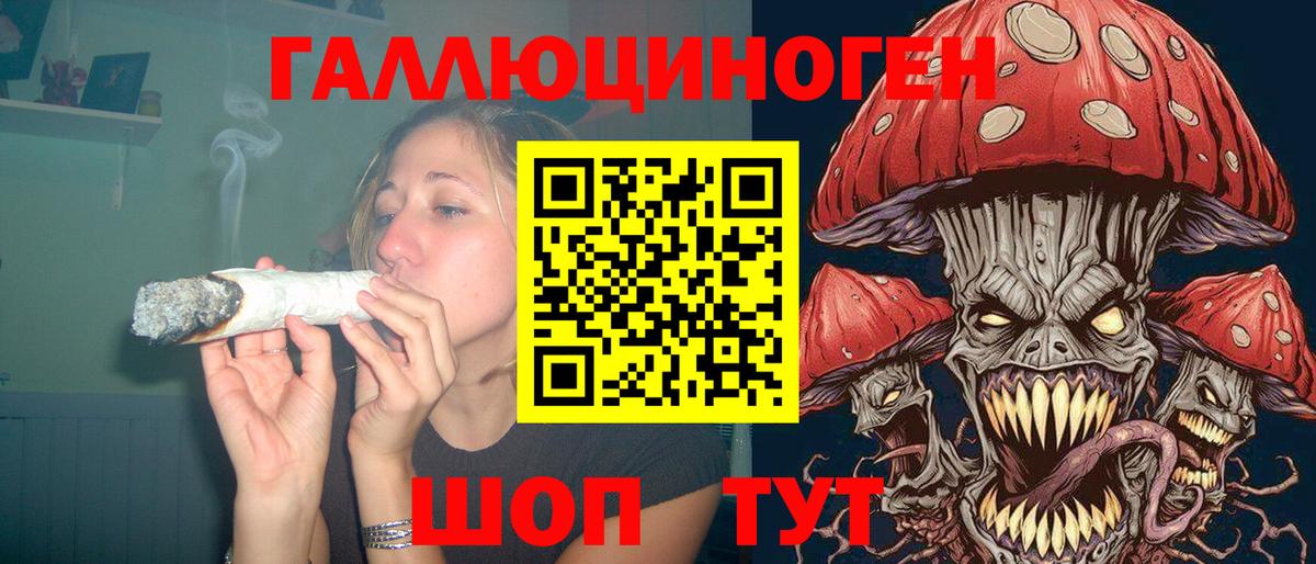Псилоцибиновые грибы ЛСД  Вход с VPN  Электрогорск 